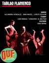 Tablao flamenco - Théâtre El Duende
