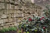 Visite guidée : Paris 1200, l' enceinte de Philippe Auguste, partie orientale - Jardin du Luxembourg