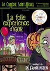 Affiche de La folle expérience d'Igor