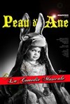 Peau d'âne, la comédie musicale - Théâtre de la Madeleine