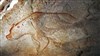 La grotte Chauvet et le culte de l'ours dans la préhistoire et l'histoire - L'Agora