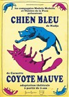 Chien bleu, coyote mauve - Théâtre de la Violette