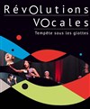 Révolutions vocales, tempête sous les glottes. - Théâtre de Nesle - grande salle 