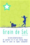 Grain de Sel - La Comédie de la Passerelle