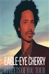Eagle Eye Cherry - Stereolux - ancien Olympic