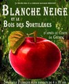 Blanche Neige et le Bois des Sortilèges - Théâtre Pixel