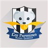 Match de Quidditch - Le Jardin du Comité