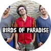 Birds of Paradise - Olivier Py trio - Cabaret Vauban