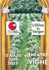 Le Théâtre dans la Vigne - Domaine l'Olive du Verger