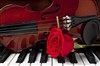 Récital Violon Piano - Bateau Daphné