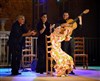 Stage d'initiation au Flamenco - Studio Flam'n co