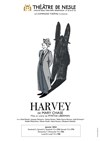 Harvey - Théâtre de Nesle - grande salle 