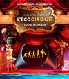 L'Ecocirque André-Joseph Bouglione - Chapiteau de l'écocirque à Montpellier 