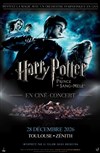 Harry Potter et le Prince de Sang-Mêlé en ciné-concert - Zénith de Toulouse