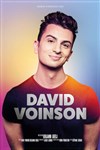 David Voinson - Théâtre à l'Ouest
