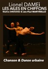 Affiche de Les Ailes en Chiffons Trio