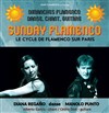 Sunday Flamenco - Péniche Antipode