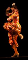 Spectacle de Flamenco Traditionnel - Le mélange des genres