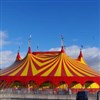 Le Cirque Pinder fait son grand retour ! - Chapiteau Pinder à Paris