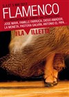 Flamenco - Grande Halle de la Villette