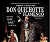 Don Quichotte Flamenco - Théâtre du Gymnase Marie-Bell - Grande salle