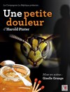 Une petite douleur, d'Harold Pinter - Théâtre de poche