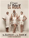 Cirque Le Roux dans The Elephant in the Room - Théâtre Armande Béjart