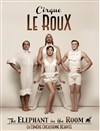 Cirque Le Roux dans The Elephant in the Room - Théâtre Armande Béjart
