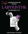 Sébastien Thill dans Labyrinthe - Le Double Fond