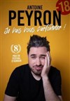 Antoine Peyron dans Je vais vous cartonner - Le Pont de Singe