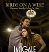 Birds on a wire - La Cigale