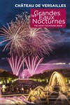 Les Grandes Eaux Nocturnes - Jardin du château de Versailles - Entrée Cour d'Honneur