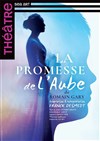 La promesse de l'aube - Théâtre de la Cité