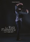 Raíz Flamenca Carlos Ruiz - Théâtre 13 / Glacière
