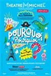 Pourquoi Pourquoi ? - Théâtre Michel