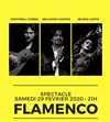 Soirée spectacle flamenco - Pena Copas y compas 
