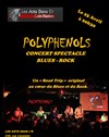 Polyphenols : Blues & Rock Story - Les Arts dans l'R