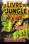 Le livre de la jungle - Apollo Théâtre - Salle Apollo 90 