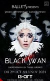 Black Swann - Théâtre Le 13ème Art - Grande salle