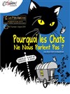 Pourquoi les chats ne nous parlent pas ? - Royale Factory