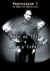 Professeur T dans Maux de têtes et mots d'esprits - Théâtre du Chemin Vert