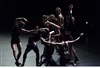 The Falling Stardust - Espace Culturel L'Atrium