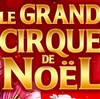 Le Grand Cirque de Noël de Rennes - Le Grand Cirque de Noel de Rennes