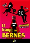 Affiche de Le triangle des Bernés