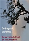 De Bagdad et Damas - Comédie Nation