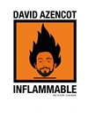 David Azencot dans Inflammable - Royale Factory