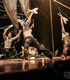 Machine de cirque - Théâtre Roger Barat