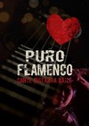 Puro Flamenco - Ogresse Théâtre