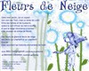 Fleurs de Neige - Café Théâtre le Flibustier