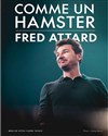 Fred Attard dans Comme un hamster - L'Appart Café - Café Théâtre